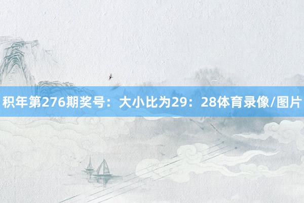 积年第276期奖号：大小比为29：28体育录像/图片